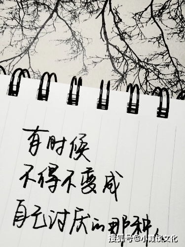  低调成熟的个性签名,精妙无比,令人拍案叫绝