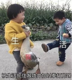  多行不易必自闭生活要我微笑