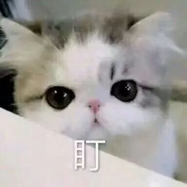  台风又来了9号台风最快今天生成10号台风紧随其后后面还有...