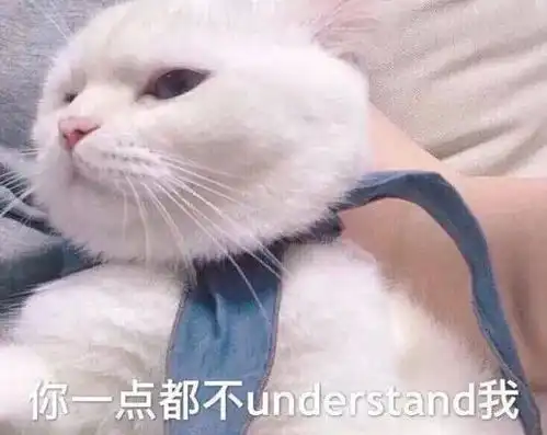 打滚表情包猫猫成绩