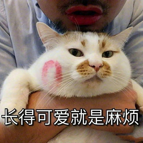  小可爱专用表情包