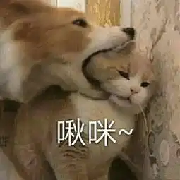  夏天到了,设计师们又开始作妖了