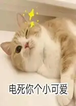  乐游网单机游戏
