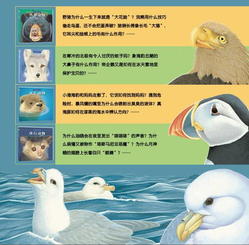  顶级手绘科普读本,高清摄影一般完美,意想不到的动物冷知识,让孩子和动物面对面