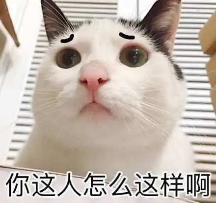 视频做表情包快捷指令猫