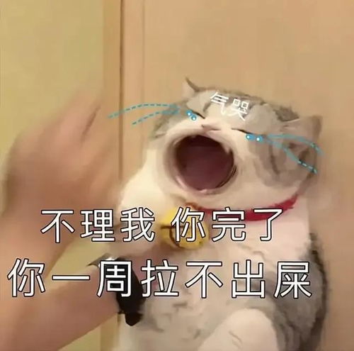  大嘴猫猫表情包