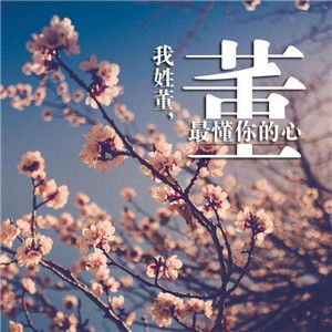  唯美姓氏头像继续发布共计12p,找找有没有的
