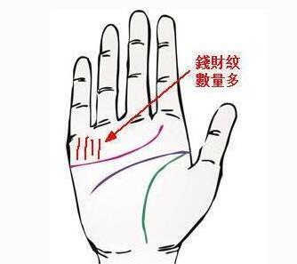  准五种预示着好财运的男人手相