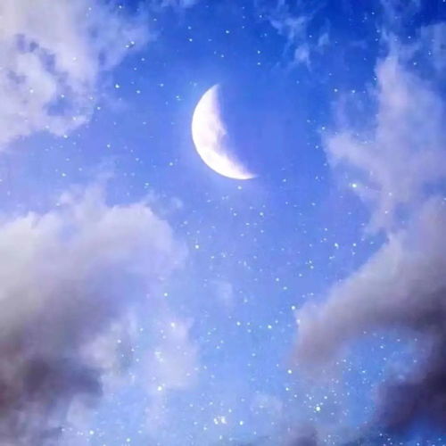 665期好看的壁纸
