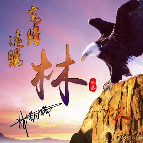  高瞻远瞩,大鹏展翅,12张雄鹰霸气姓氏头像送给你