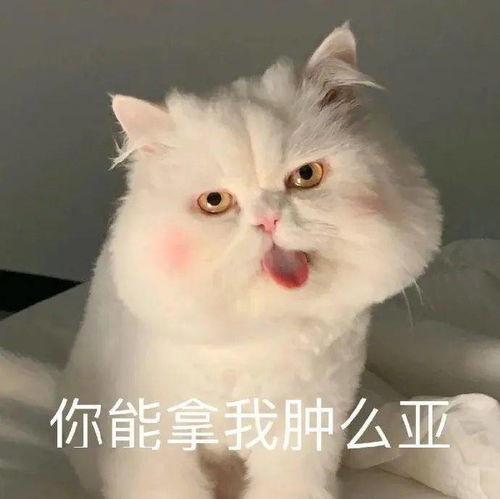  这是为啥子捏