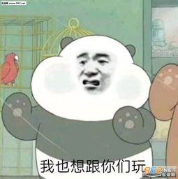  举止优雅毫不慌张表情包图片今夜不会让你睡的表情包下载乐游网游戏下载