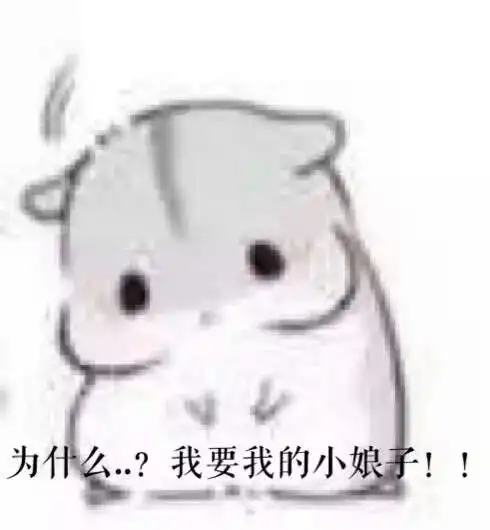  hamham小仓鼠小娘子和夫君君表情包
