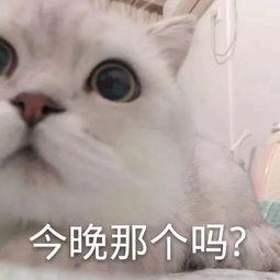  怎么让男女朋友不经意地看到这篇文章