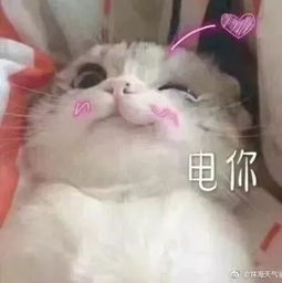  重要提醒珠海多条公交线路有调整这些人明天还可以免费坐...