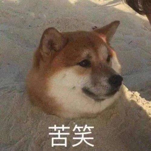 狗粮 表情包无谷狗粮