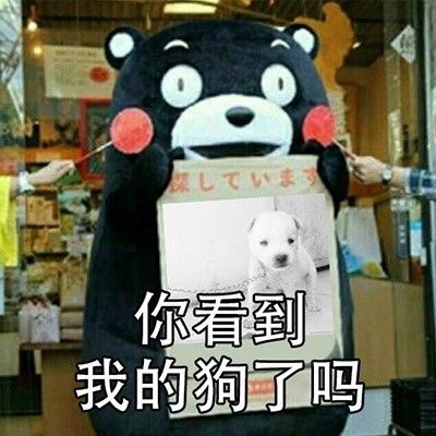 我接住了表情包原图