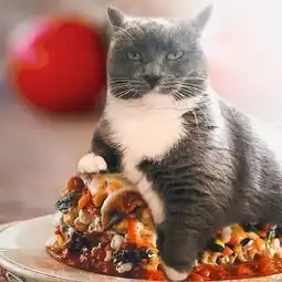 奇食录之前吃了狗,现在改吃猫了