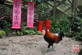  福利丨鸡的世界你懂吗送你一套鸡年表情包