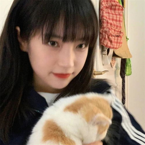  永不失恋的爱夙愿高音质在线试听永不失恋的爱歌词歌曲下载酷狗音乐