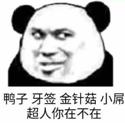  逗小豆视频直播全集逗小豆资料大全yy官方