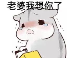 如何哄老婆开心表情包绝