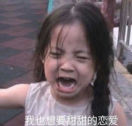  水土不服就服张智霖和袁咏仪,小说都不敢这么写的好吗
