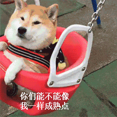  沙雕表情包图片新的一天即将开始