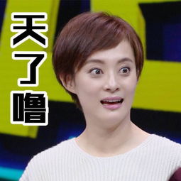 孙俪表情包