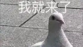  你在叫我吗