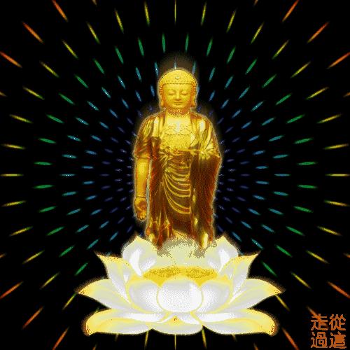  顶礼接佛平安,吉祥,幸福,好运连连,消灾延寿