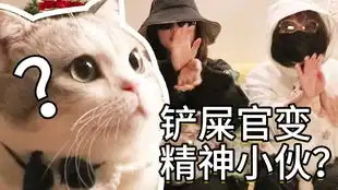  想让猫咪和玩具熊合照没门猫咪使出了浑身解数表示了拒绝合影