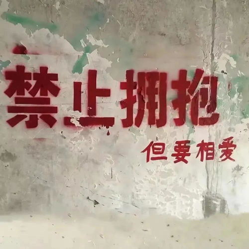  它们,是城市里某个角落的浪漫,拨动我们内心的某一处心弦