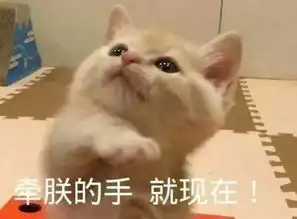  对象打游戏不回消息怎么办用这些表情包怼他
