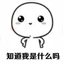  小仙女要宠着的表情包无水印