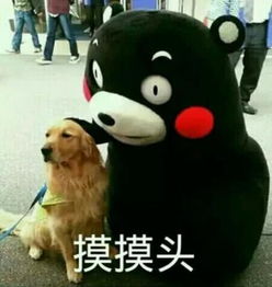  十条笑话你吃袜子啊刚穿一回就这样啦