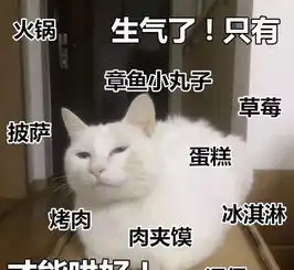 轻松一刻明知大风天妹子还故意穿这么短的裙子,这下可好别人啥都看完了啊
