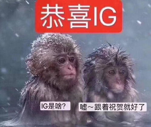  ig夺冠王思聪表情包今日份快乐源泉
