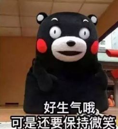  好生气可还是要微笑表情包