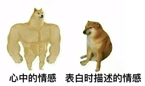 幽默搞笑表情包我承认,我抬杠抬不过你