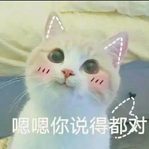  猫妈妈多久会忘记送走的孩子