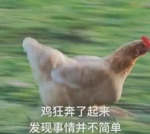 溜达鸡表情包种鸡