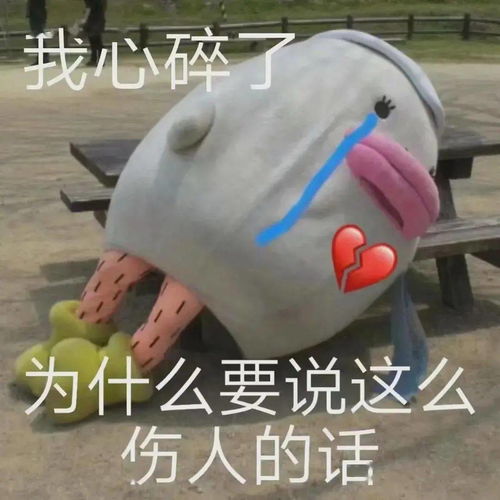  每日精选沙雕表情包