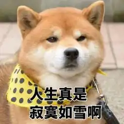  有哪些超级可爱的柴犬的表情包
