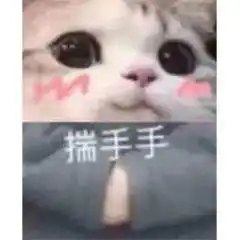 可爱喵咪表情包沙雕