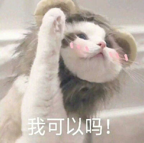 自闭表情包沙雕