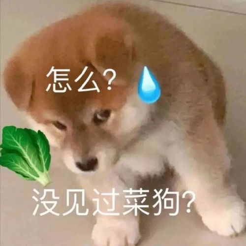  一直微笑就好了表情包