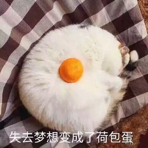  大家是怎么找到自己喜欢的工作的