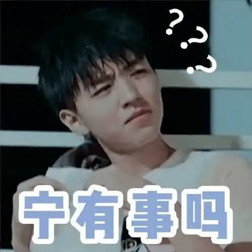 r1se表情包大全抄袭