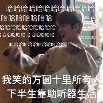 fine表情包良心